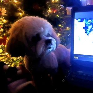 Meet your Posher, Izabela